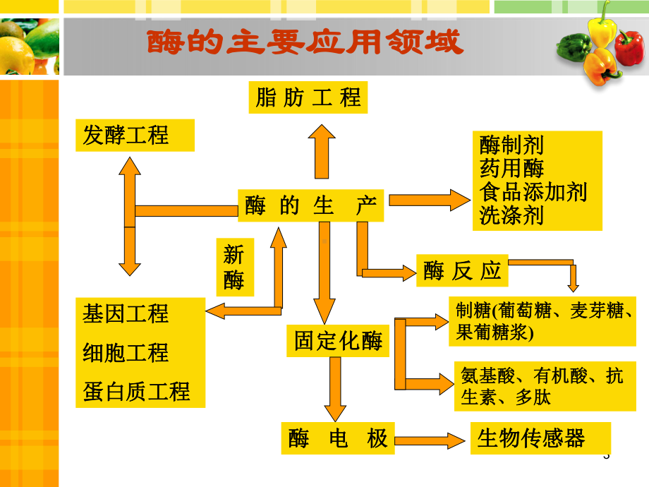 酶的工业应用课件.ppt（52页）_第3页