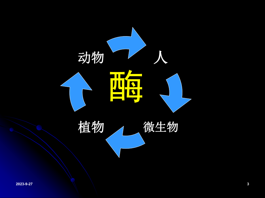 酶工程制药汇总课件.ppt（89页）_第3页