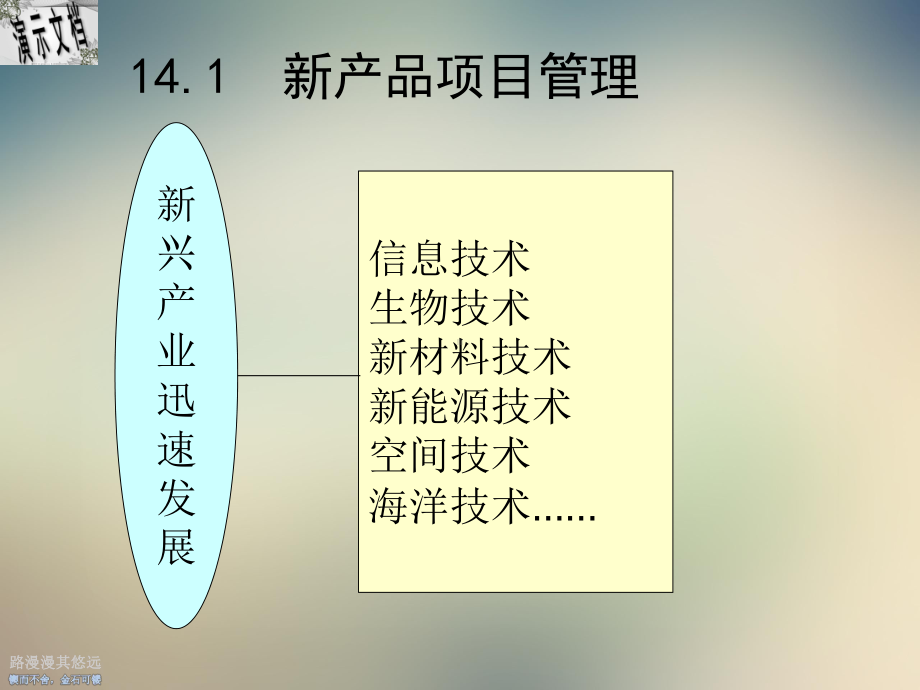 项目开发与技术能力概述课件.ppt（31页）_第2页