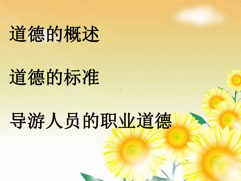 导游人员的职业道德概述.ppt_第2页