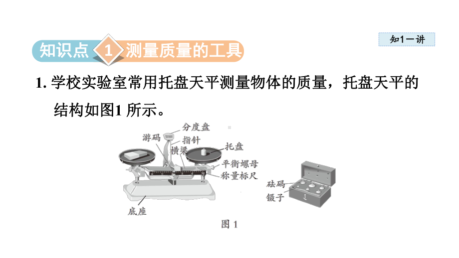 5.2 测量：物体的质量课件 2024-2025学年沪科版物理八年级上册.pptx_第2页