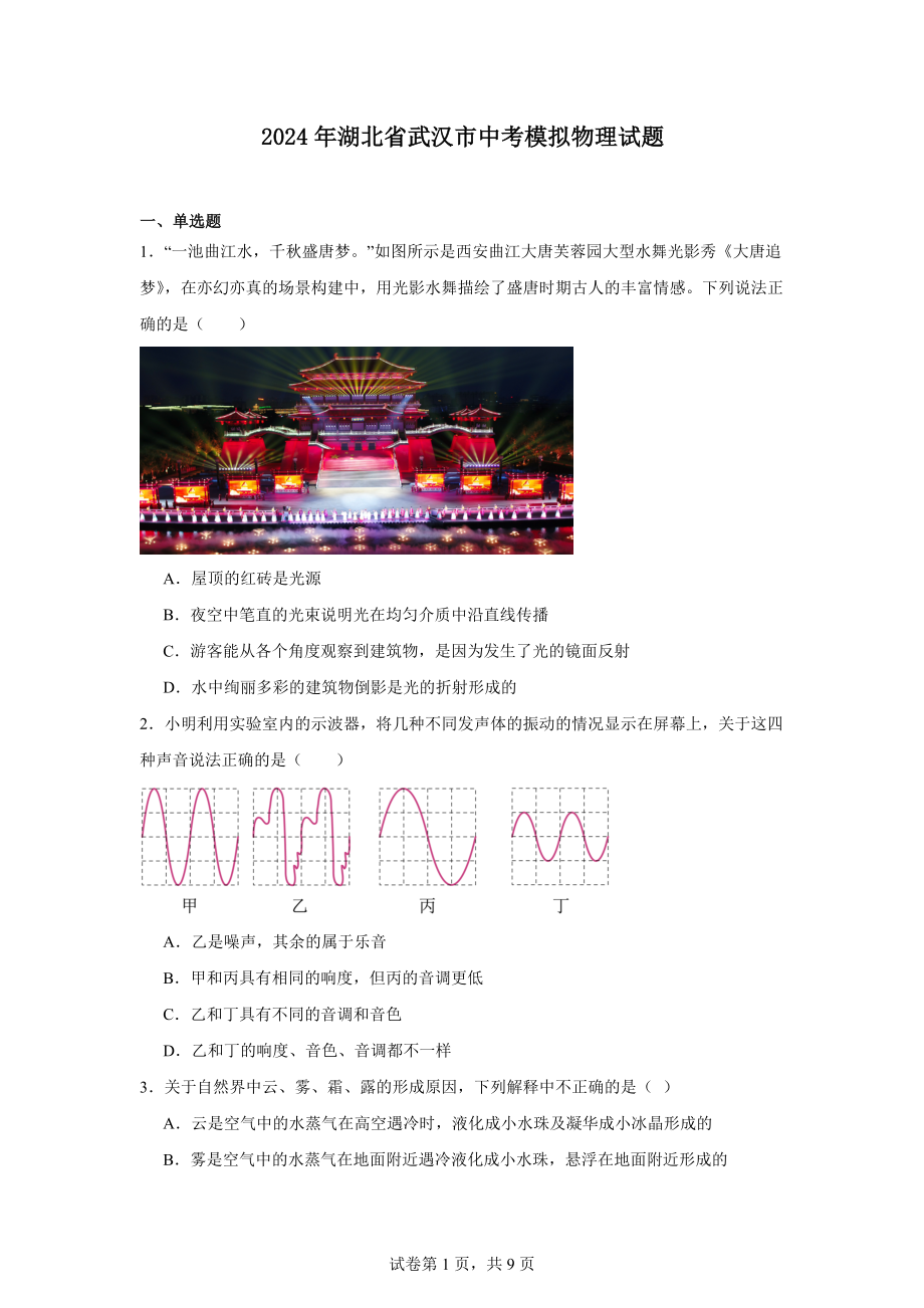 2024年湖北省武汉市中考模拟物理试题.docx_第1页