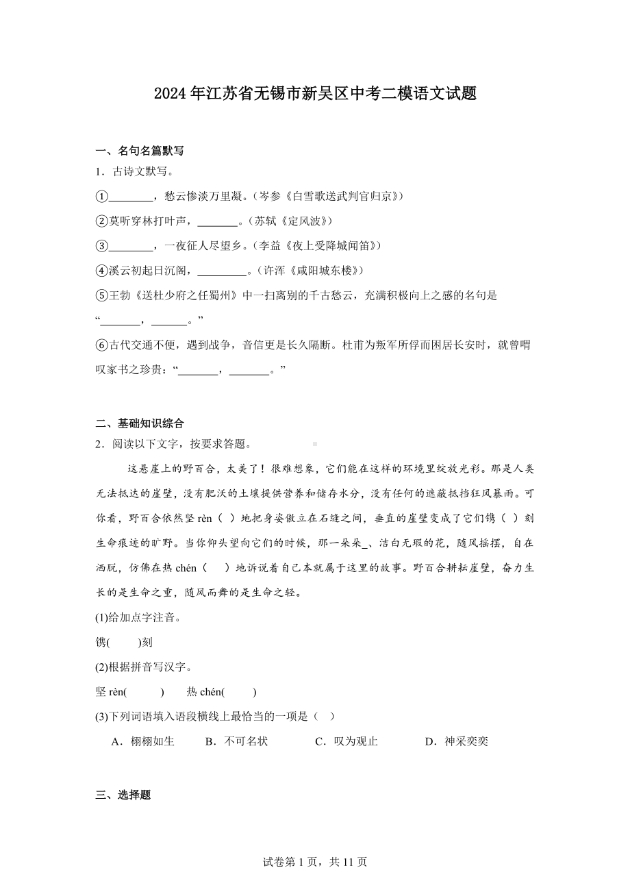 2024年江苏省无锡市新吴区中考二模语文试题.docx_第1页