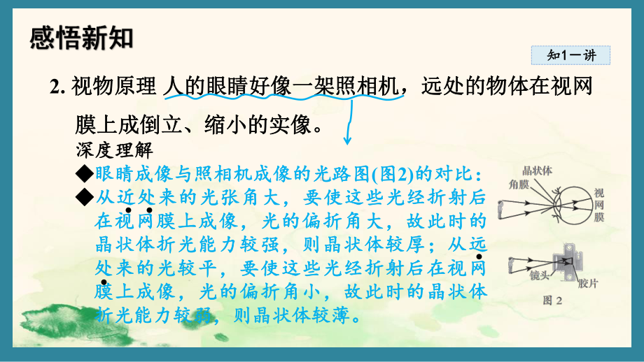 4.6 跨学科实践：眼睛（课件）教科版（2024）物理八年级上册 (2).pptx_第3页