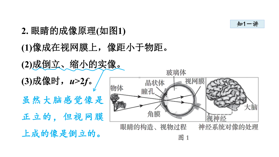 4.3 神奇的“眼睛” 课件 2024-2025学年沪科版物理八年级上册.pptx_第3页