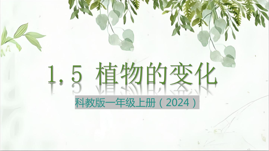 1.5 植物的变化（ppt课件）-2024新教科版一年级上册《科学》.pptx_第1页