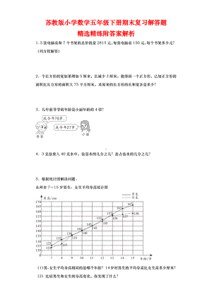 期末复习解答题（专项训练）-五年级下册数学人教版.docx