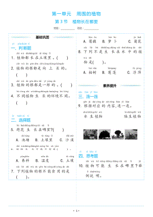 1.3 植物长在哪里（同步练习） -2024新教科版一年级上册《科学》.docx