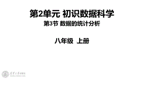 2.3 《数据的统计分析》1、2课时 ppt课件(共20张PPT) -2024新清华大学版八年级上册《信息技术》.pptx