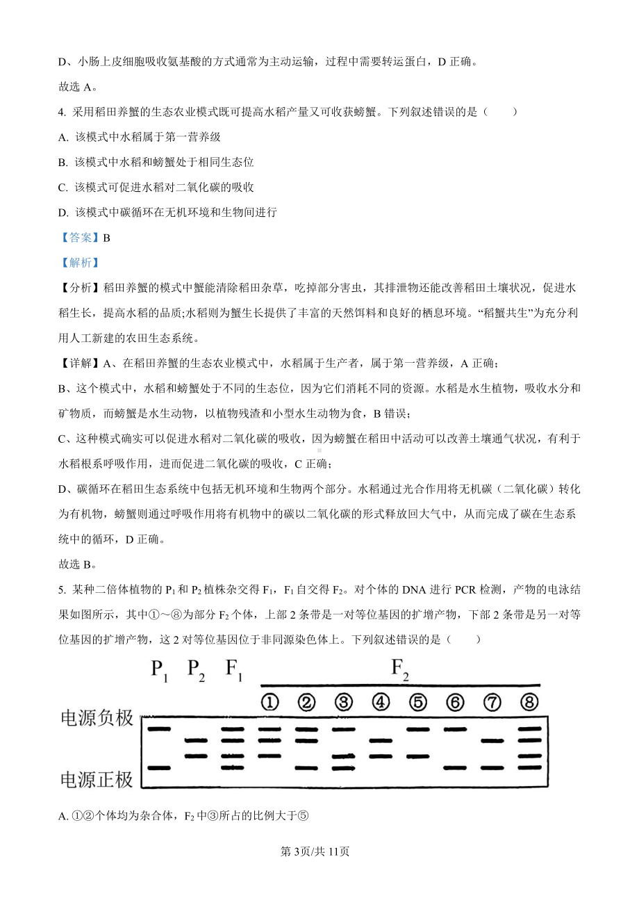 2024年全国高考真题新课标理综生物科目（真题卷+解析版）.pdf_第3页