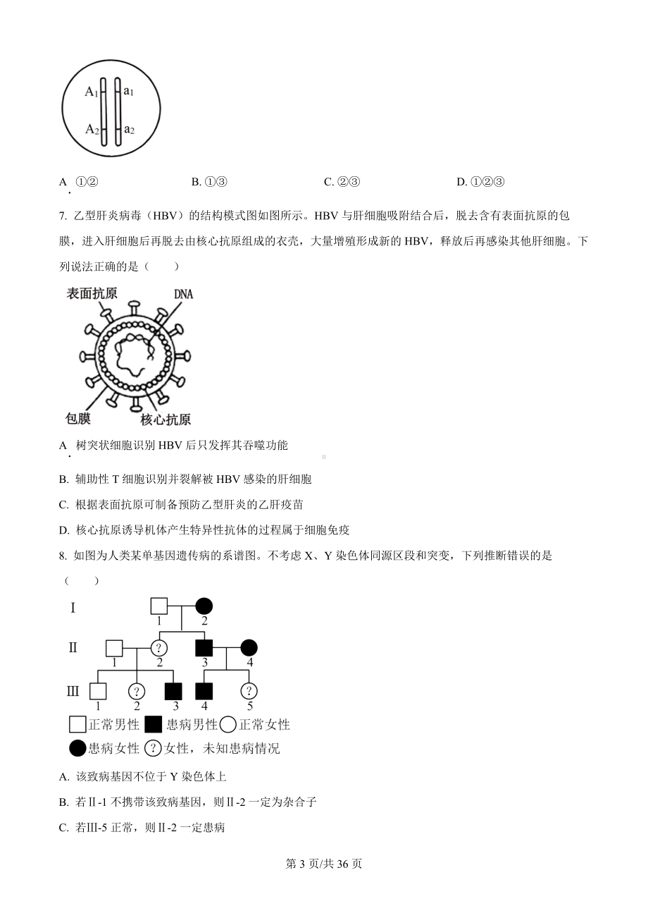 2024年新课标高考真题山东卷（生物）科目（真题卷+答案解析版）.docx_第3页