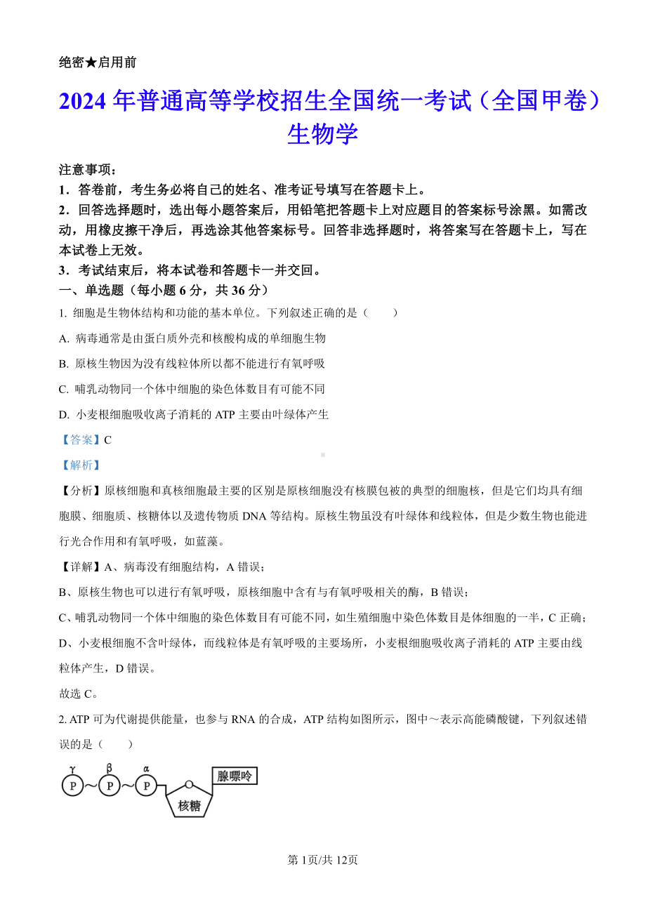 2024年全国高考真题甲卷（生物）科目（真题卷+答案详解版）.pdf_第1页