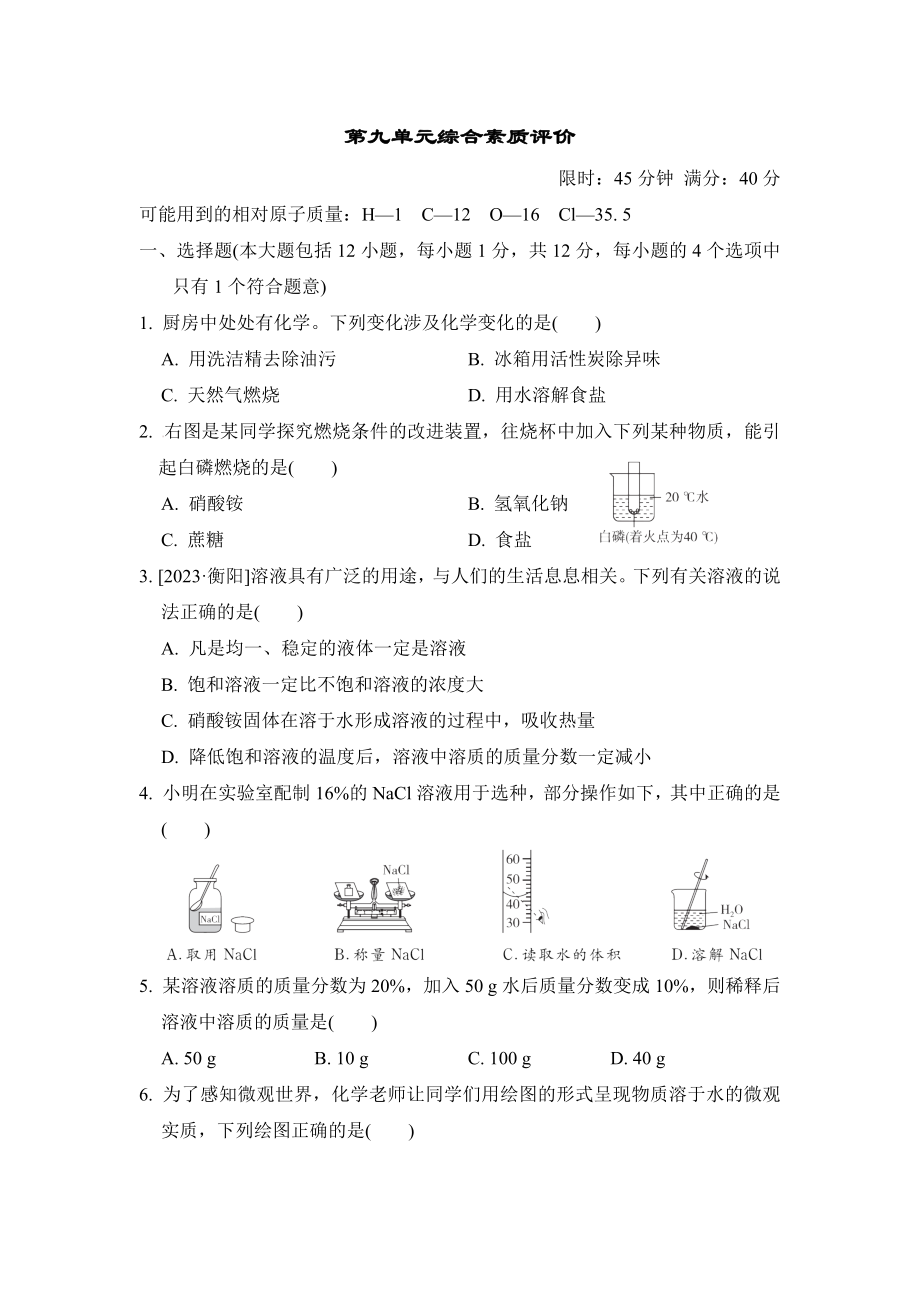 第九单元综合素质评价 九年级化学下册人教版.docx_第1页