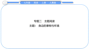 2024新人教版七年级上册《英语》期末专题复习习题专题二　主题阅读 主题1　身边的事物与环境 ppt课件.pptx