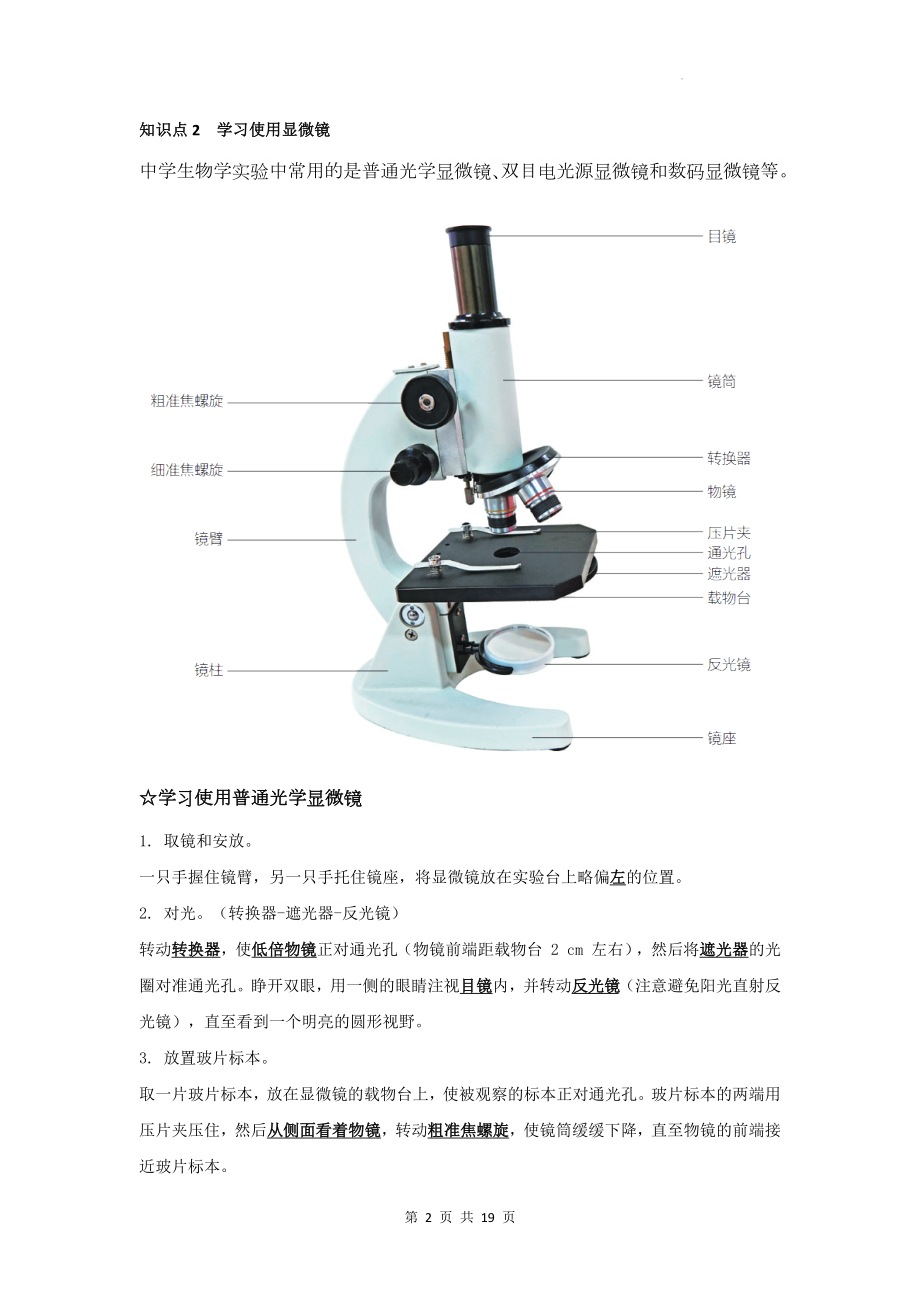 苏科版（2024新版）七年级上册生物期末复习知识点考点提纲.docx_第2页