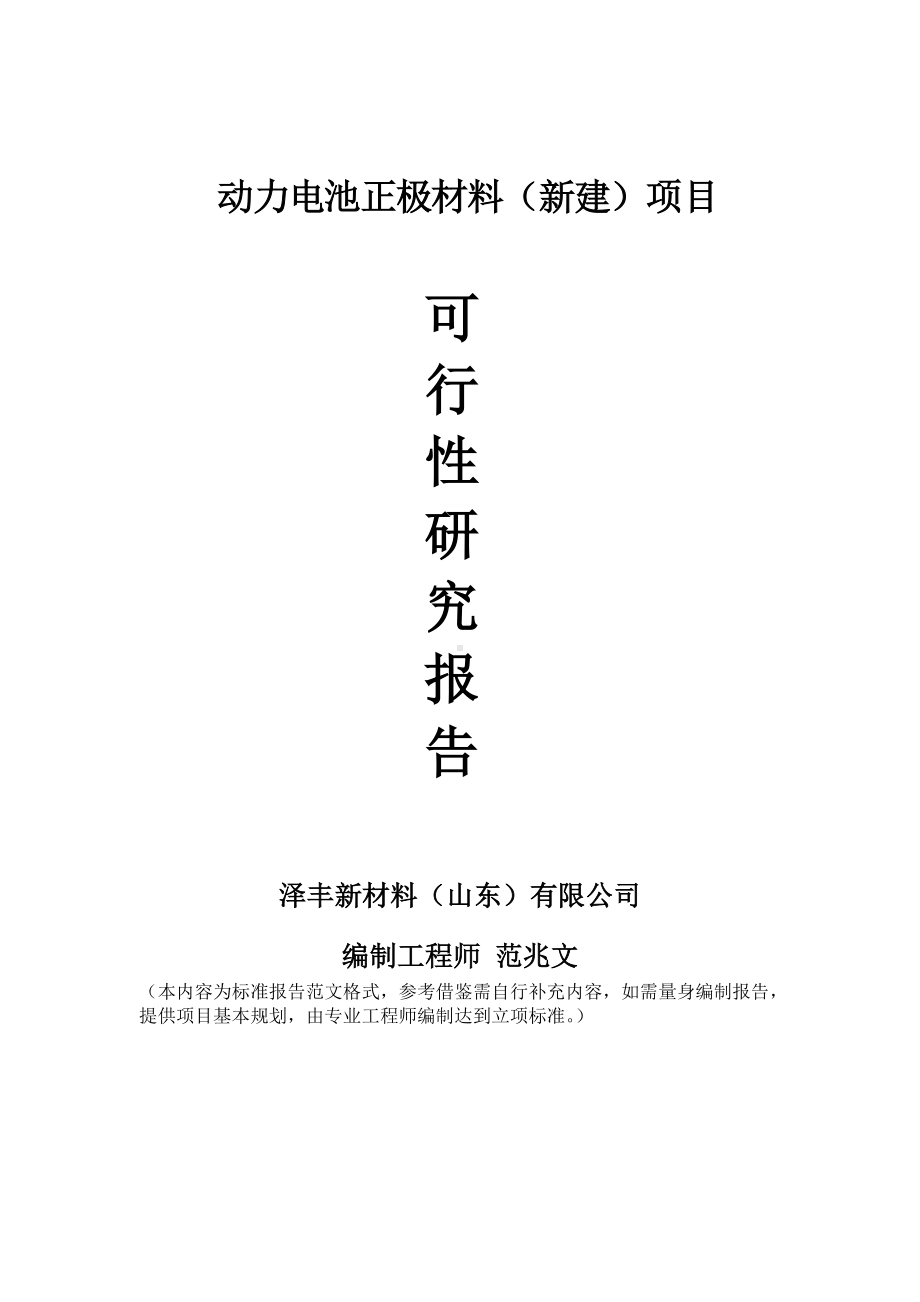 动力电池正极材料建议书可行性研究报告备案可修改案例模板.doc_第1页