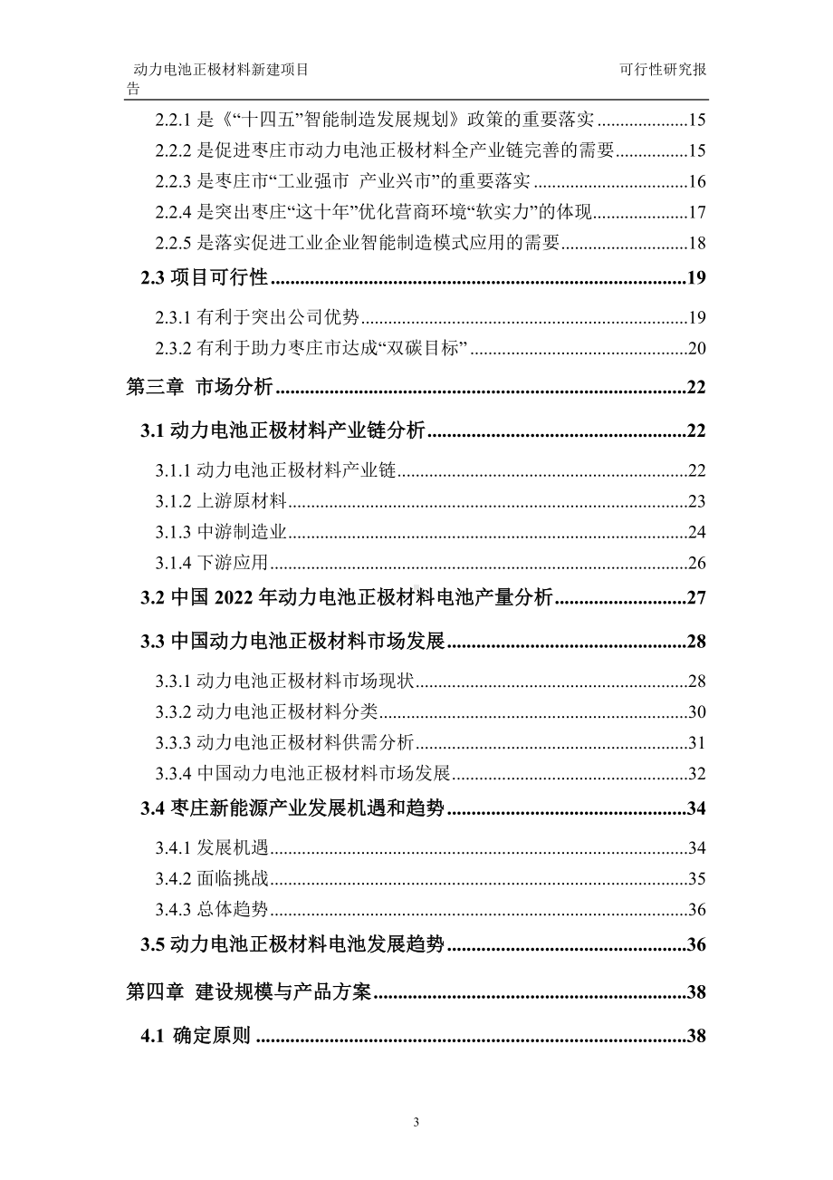 动力电池正极材料建议书可行性研究报告备案可修改案例模板.doc_第3页