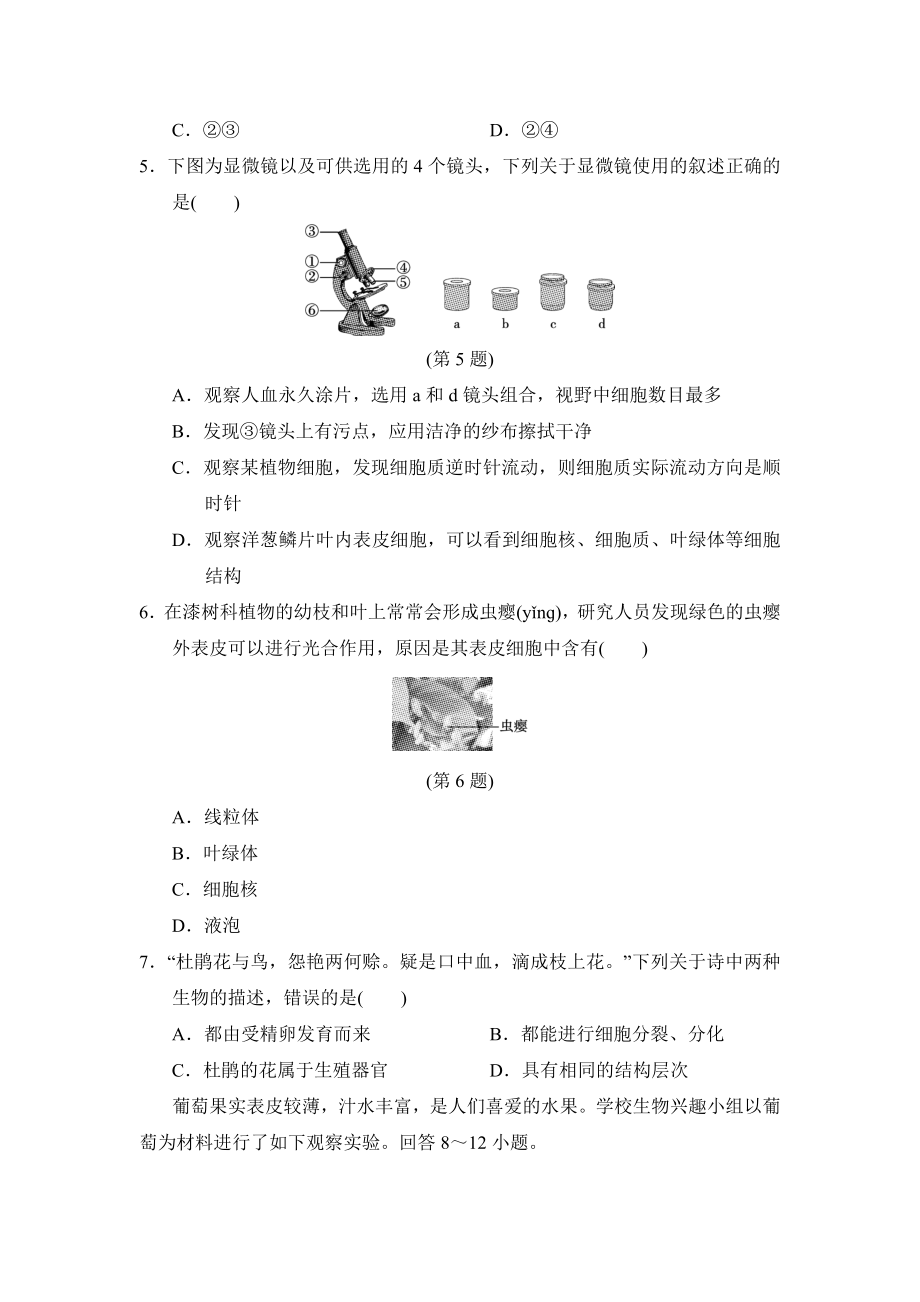 2024新人教版七年级上册《生物》期末达标测试卷.docx_第2页