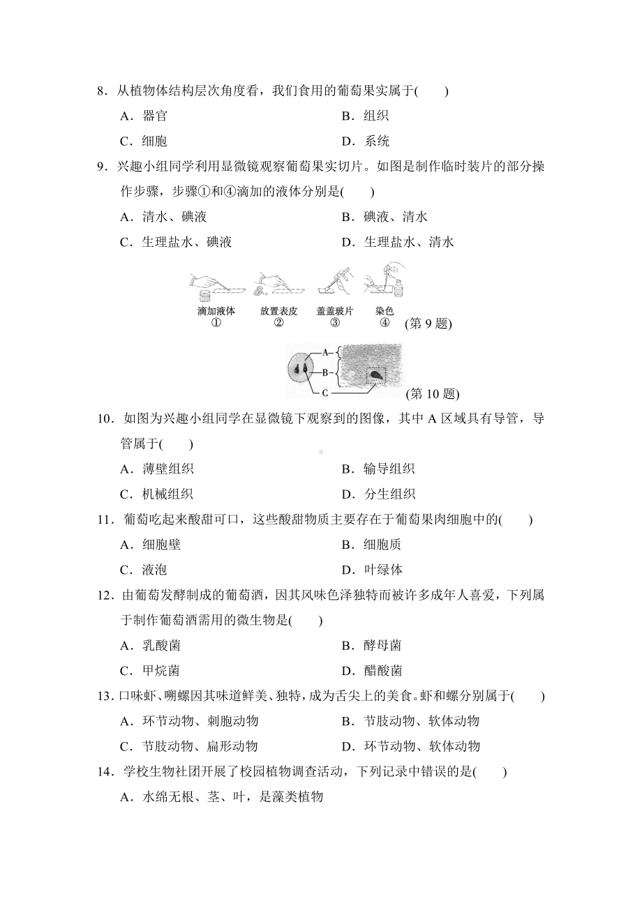 2024新人教版七年级上册《生物》期末达标测试卷.docx_第3页