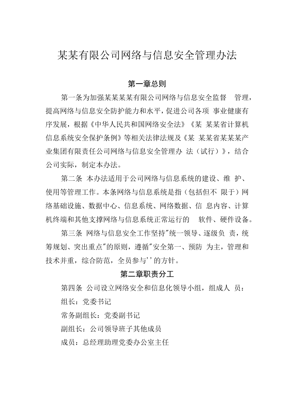 某某有限公司网络与信息安全管理办法.docx_第1页