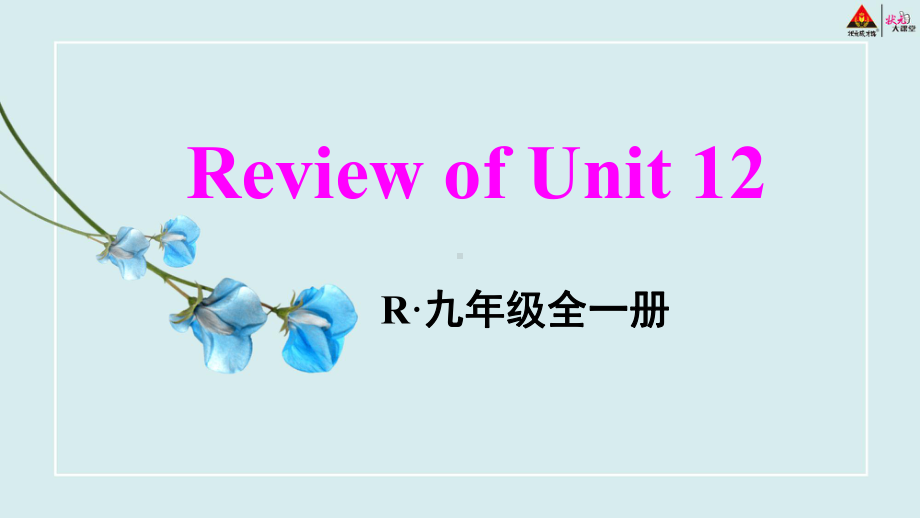 Review of Unit 12课件人教新目标版九年级英语全册.pptx_第1页