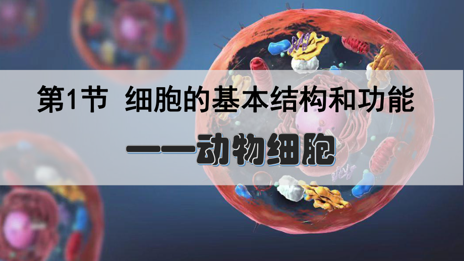 2.2.1细胞的基本结构和功能 (2课时)ppt课件-2024新北师大版七年级上册《生物》.pptx_第1页