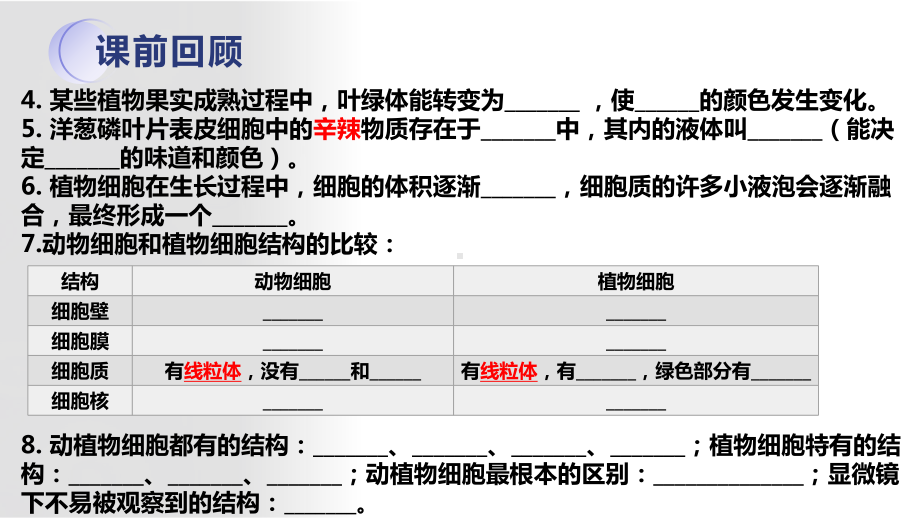 2.1 细胞的基本结构和功能（制作临时装片）ppt课件-2024新北师大版七年级上册《生物》.pptx_第3页