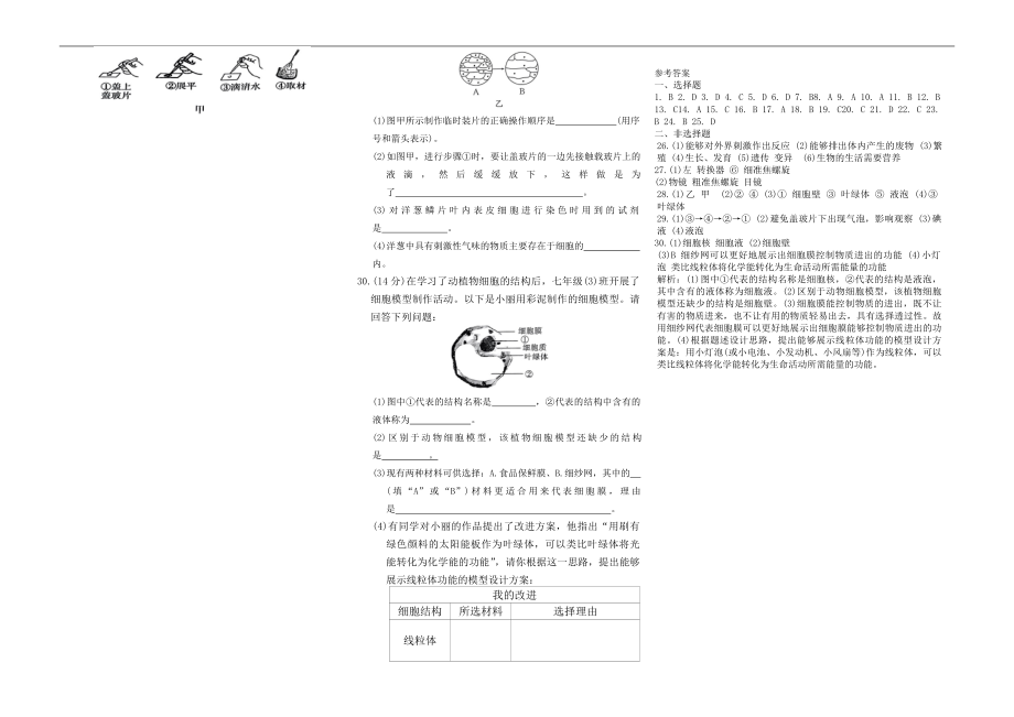 2024新人教版七年级上册《生物》第一单元第一、二章测试卷.docx_第3页