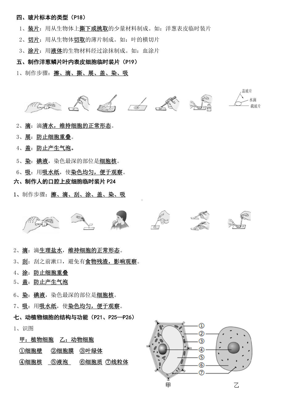 2024新人教版七年级上册《生物》期末复习考点背诵.docx_第3页