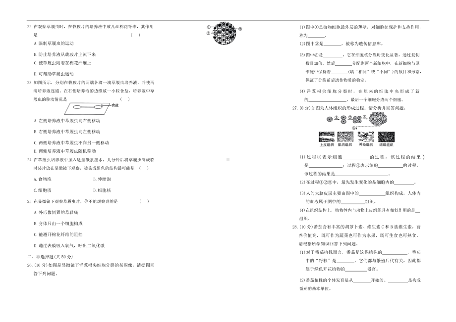 2024新人教版七年级上册《生物》第一单元第三章从细胞到生物体测试卷.docx_第2页