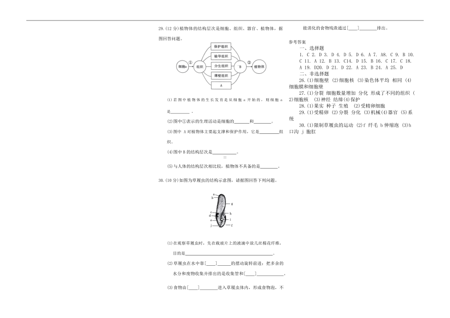 2024新人教版七年级上册《生物》第一单元第三章从细胞到生物体测试卷.docx_第3页