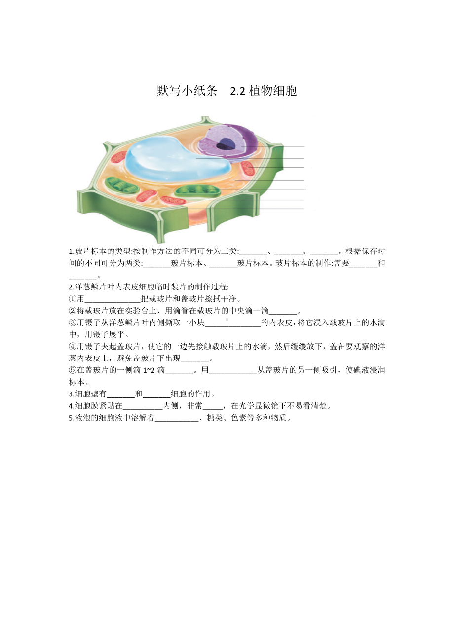 2024新人教版七年级上册《生物》知识点 默写（w版）.docx_第3页