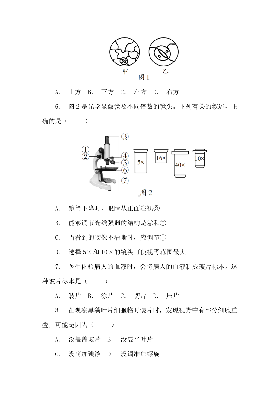 2024新人教版七年级上册《生物》第一单元生物和细胞 达标测试卷.docx_第2页