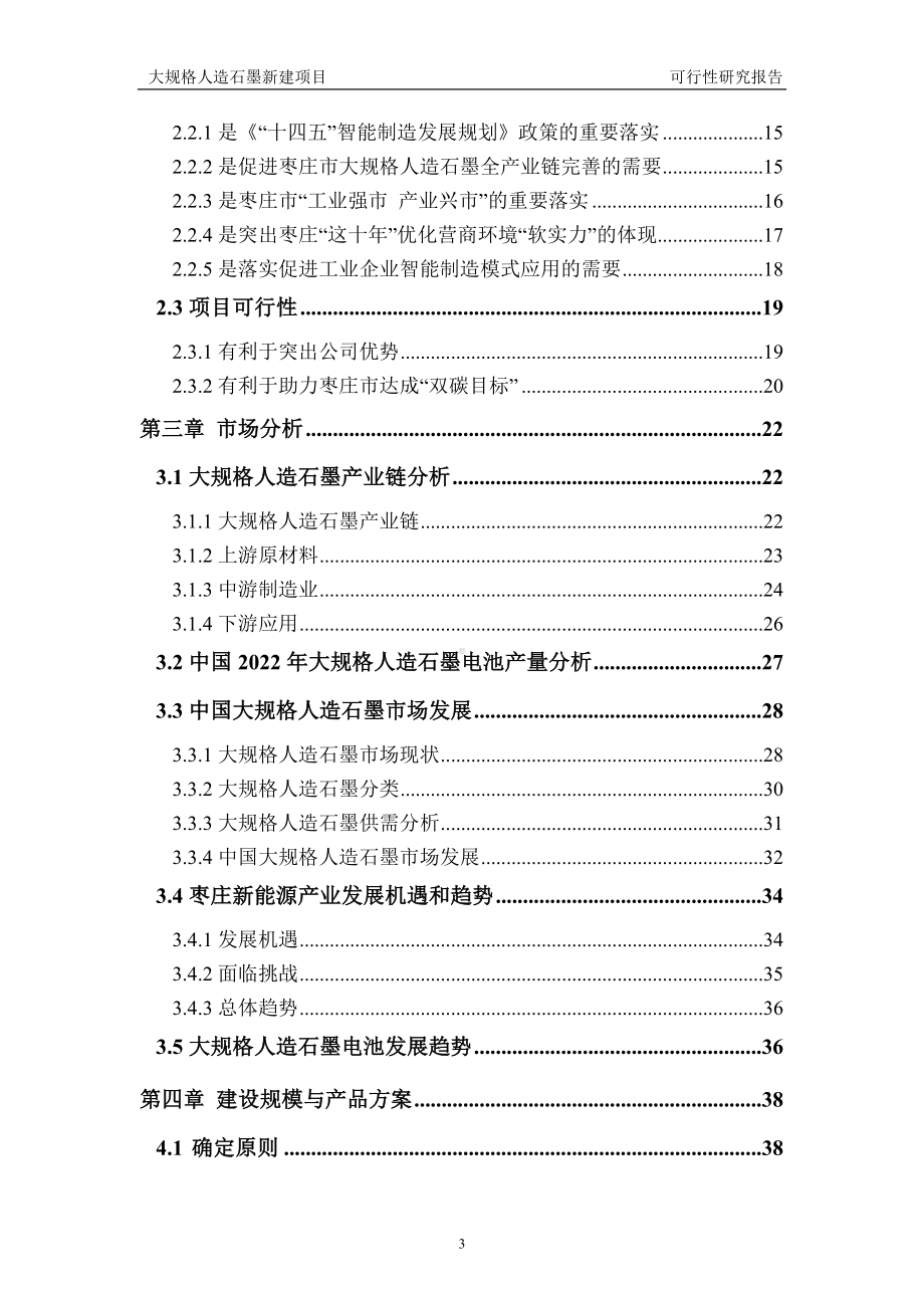 大规格人造石墨建议书可行性研究报告备案可修改案例模板.doc_第3页