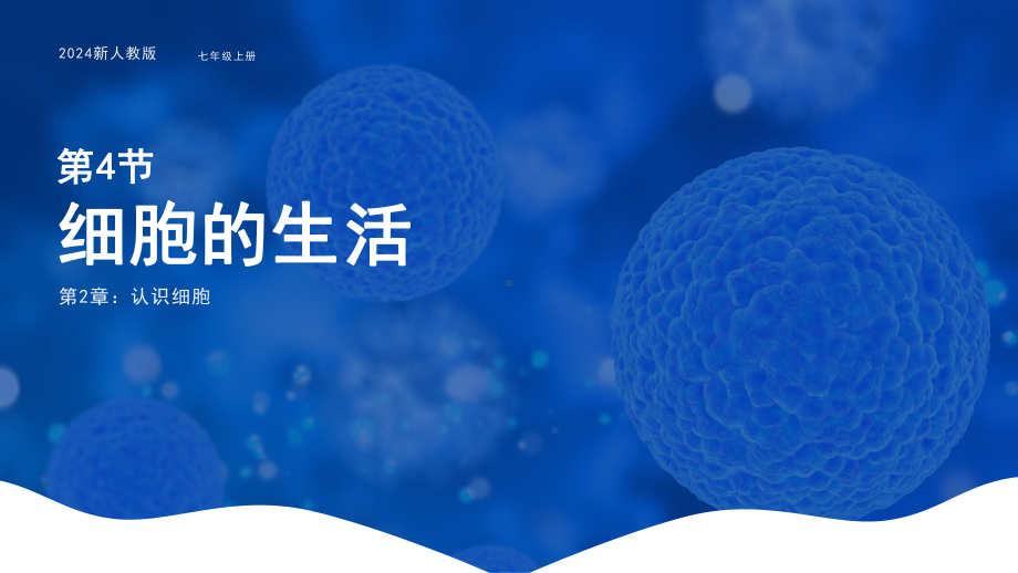 1.2.4细胞的生活ppt课件（ppt）-2024新人教版七年级上册《生物》.pptx_第1页