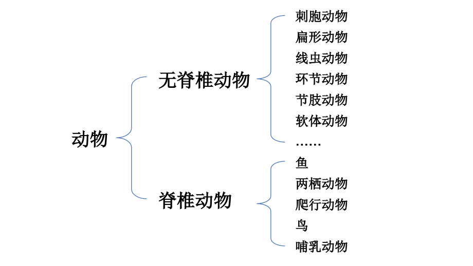 2.2.2 脊椎动物 一 鱼 ppt课件（ppt）+素材-2024新人教版七年级上册《生物》.rar