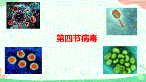 2.3.4病毒ppt课件（ppt）-2024新人教版七年级上册《生物》.pptx