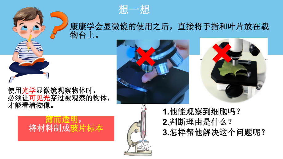 1.2.2植物细胞ppt课件（ppt）-2024新人教版七年级上册《生物》.pptx_第3页