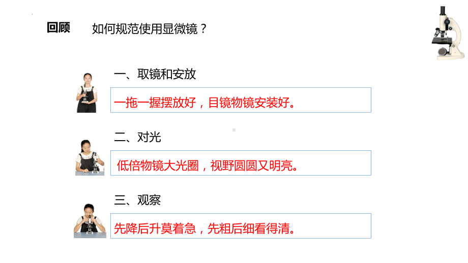 1.2.2 植物细胞 ppt课件（ppt）-2024新人教版七年级上册《生物》.pptx_第2页