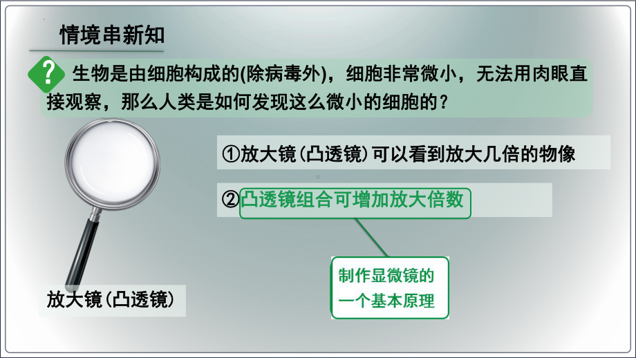 1.2.1学习使用显微镜ppt课件（ppt）-2024新人教版七年级上册《生物》.pptx_第3页