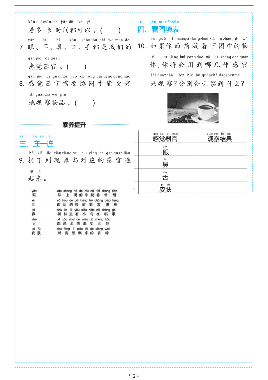 2.5 通过感官来发现（同步练习）-2024新教科版一年级上册《科学》.docx_第2页