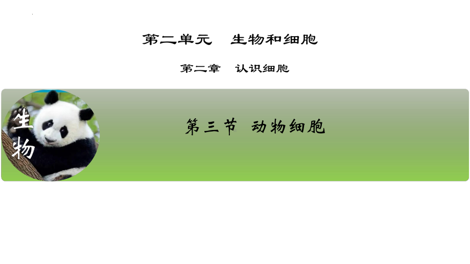 1.2.3 动物细胞ppt课件（ppt）-2024新人教版七年级上册《生物》.pptx_第2页