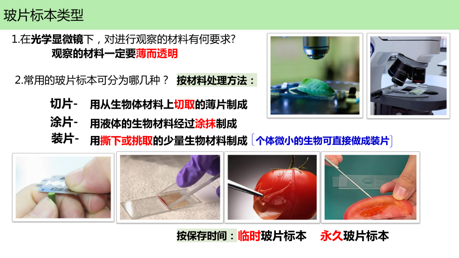 1.2.2植物细胞ppt课件（ppt） -2024新人教版七年级上册《生物》.pptx_第3页