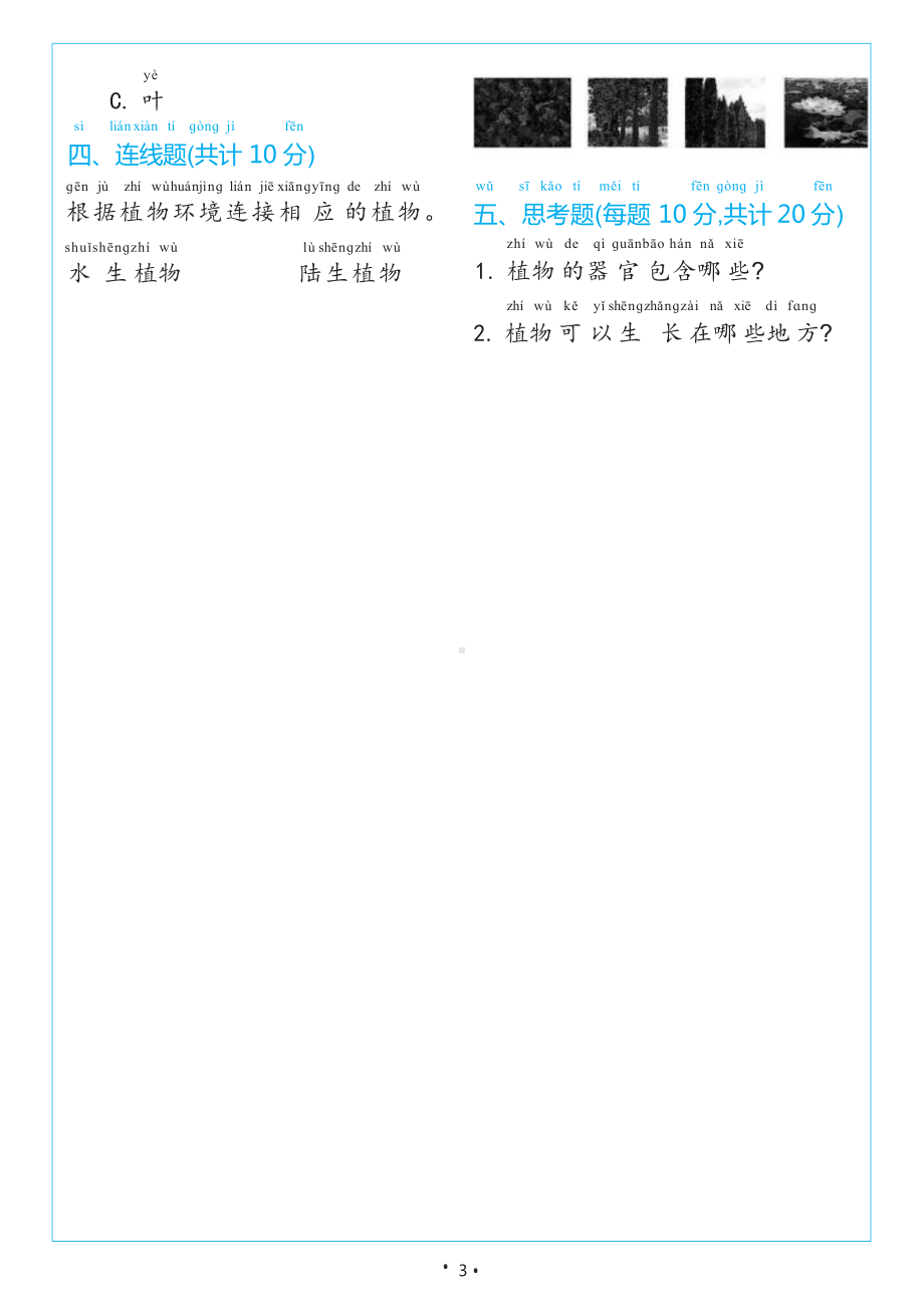 2024新教科版一年级上册《科学》第一单元周围的植物素养测评（试卷）.docx_第3页