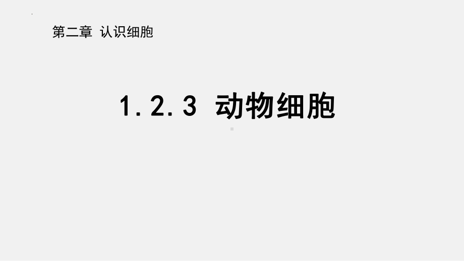 1.2.3 动物细胞ppt课件（ppt）-2024新人教版七年级上册《生物》.pptx_第1页