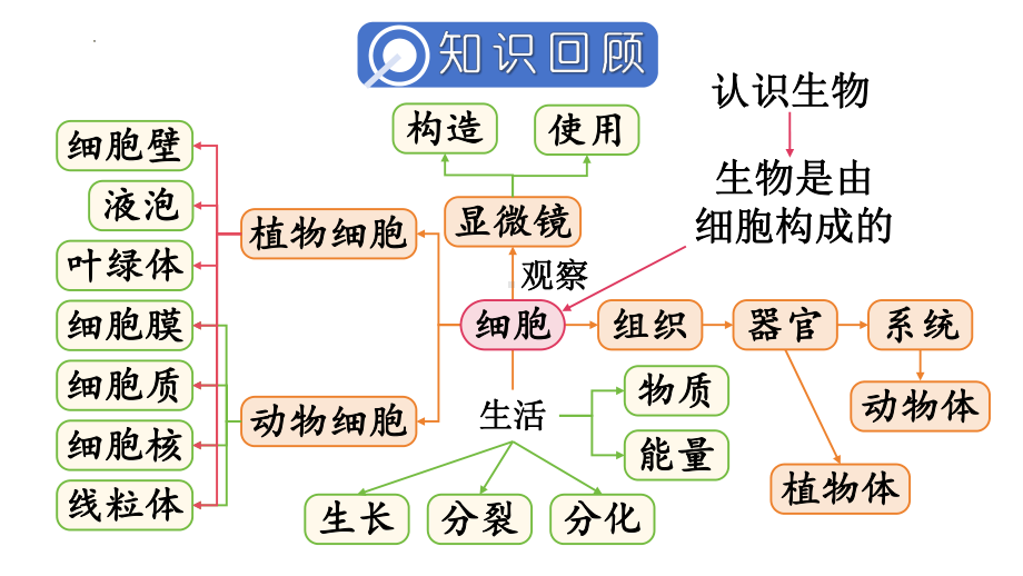 2024新人教版七年级上册《生物》第一单元 生物和细胞 小结复习ppt课件（ppt）.pptx_第2页