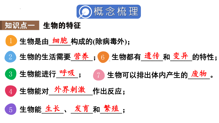 2024新人教版七年级上册《生物》第一单元 生物和细胞 小结复习ppt课件（ppt）.pptx_第3页