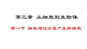 1.3.1细胞通过分裂产生新细胞 ppt课件（ppt）-2024新人教版七年级上册《生物》.pptx