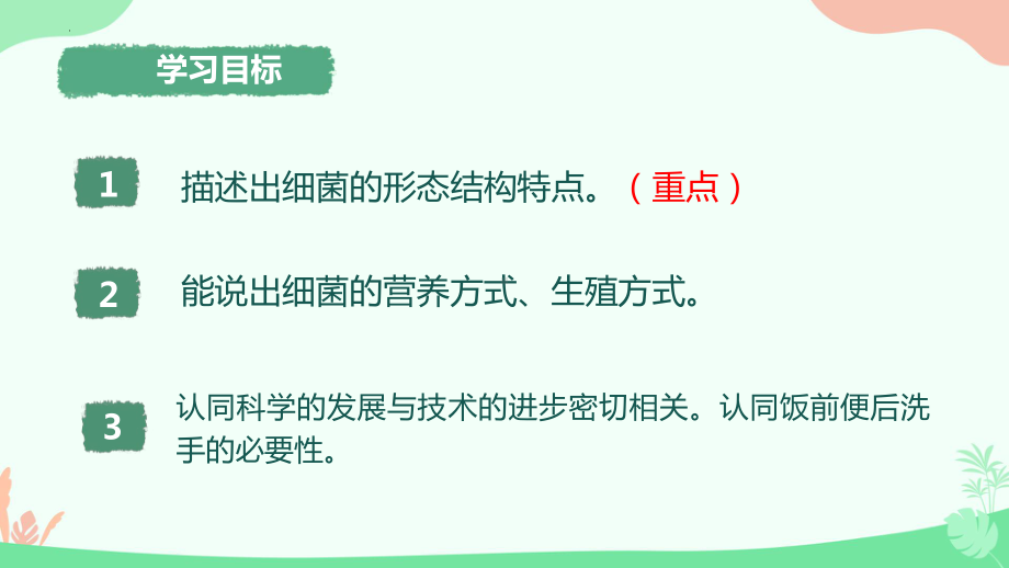 2.3.2细菌ppt课件（ppt）-2024新人教版七年级上册《生物》.pptx_第3页