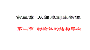 1.3.2动物体的结构层次 ppt课件（ppt）-2024新人教版七年级上册《生物》.pptx